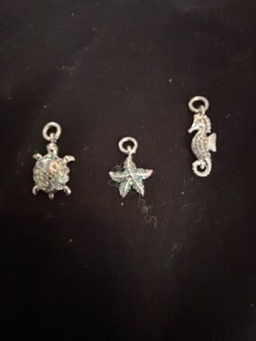 Sea Life Silver-Tone Brooch Charms Set - Turtle, Starfish & Seahorse